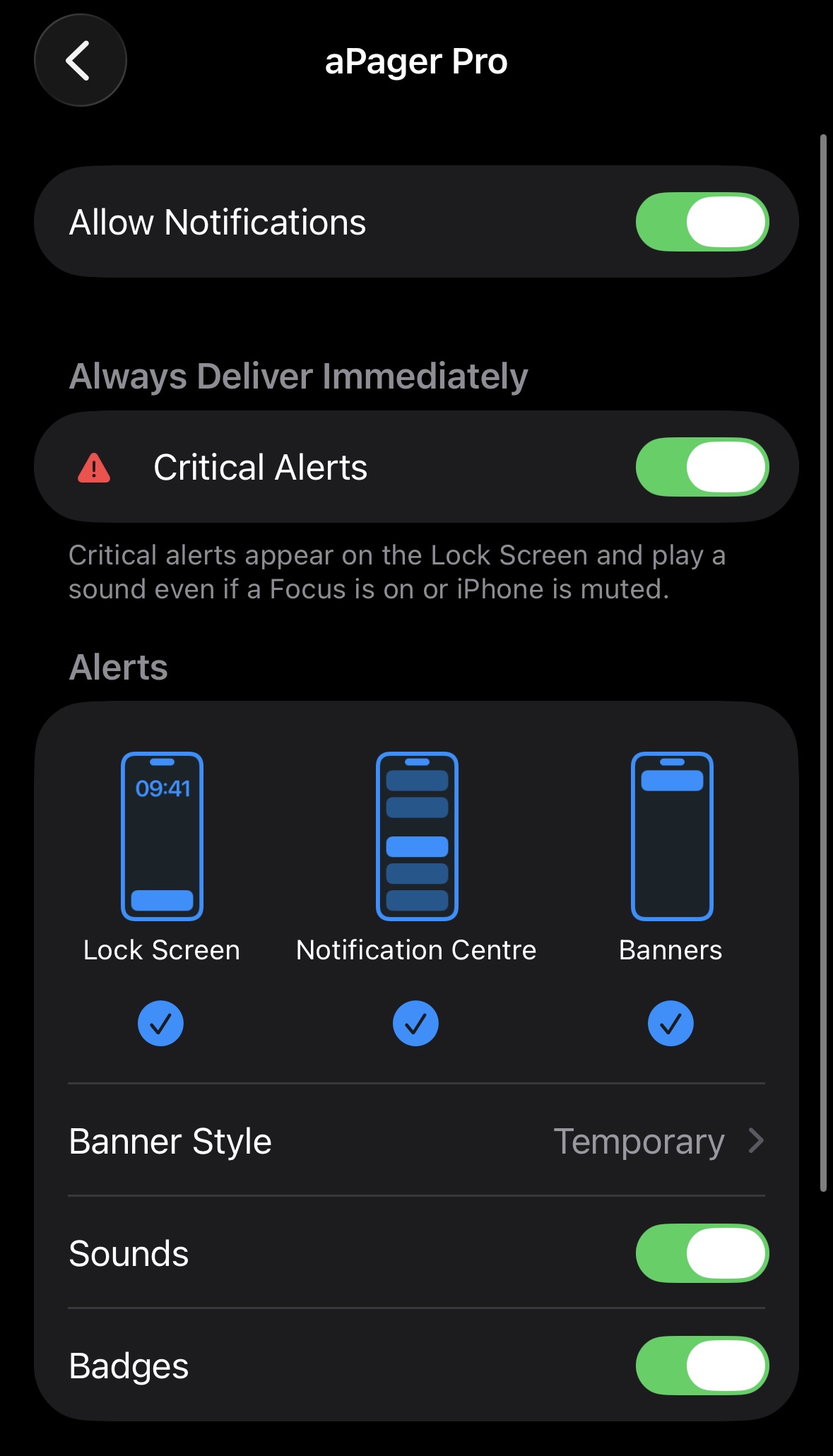iOS-Systemeinstellungen für aPager PRO: „Allow Notifications“ und „Critical Alerts“ aktiviert, dazu Lock Screen, Notification Centre, Banners und „Sounds“ eingeschaltet.