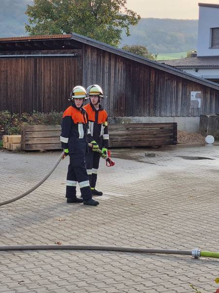 Leistungsabzeichen 'Die Gruppe im Löscheinsatz'