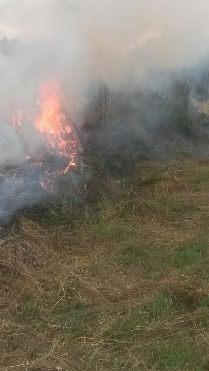 Flächenbrand Ehingen