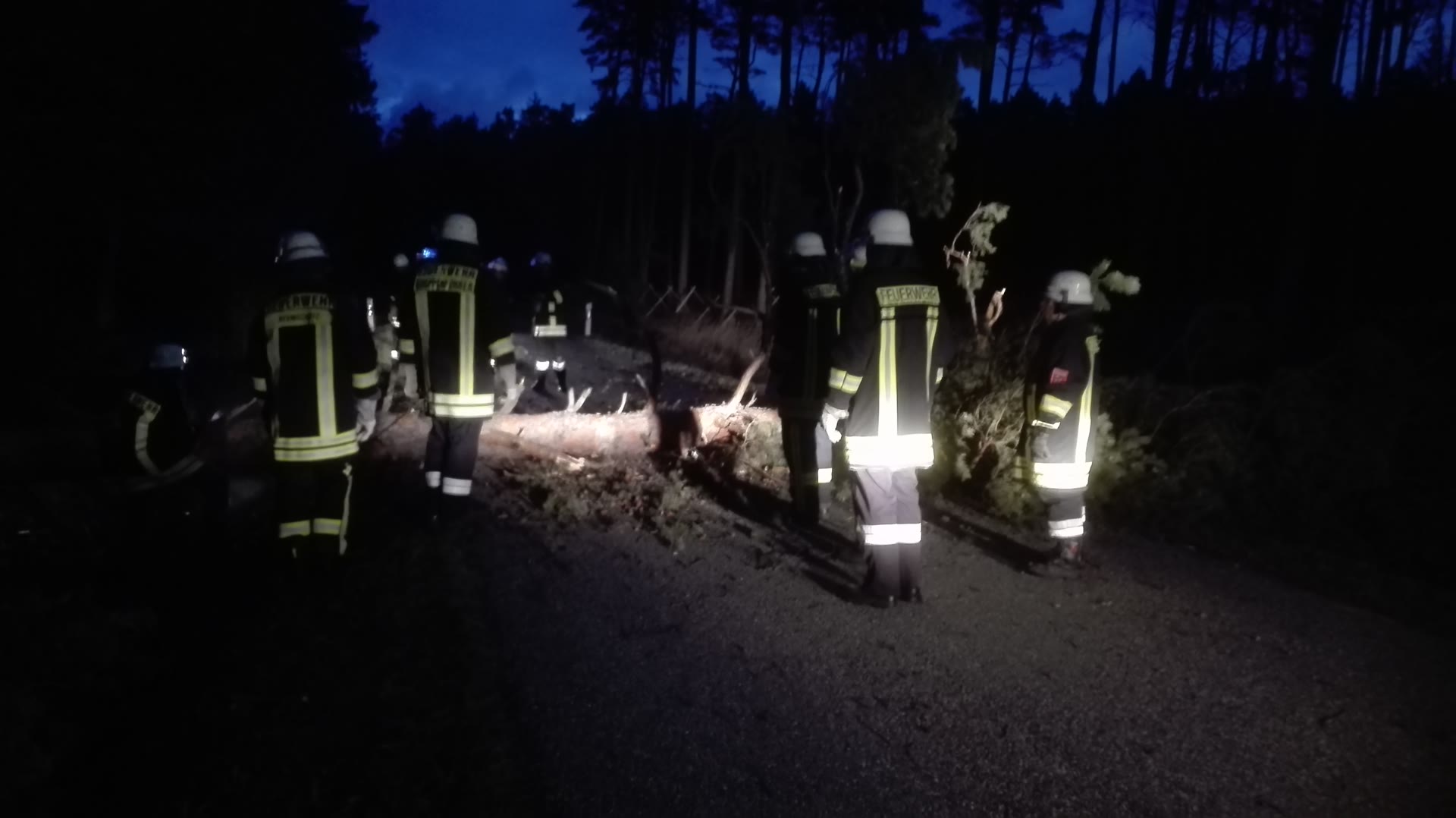 Baum auf Fahrbahn / Hammerschmiede