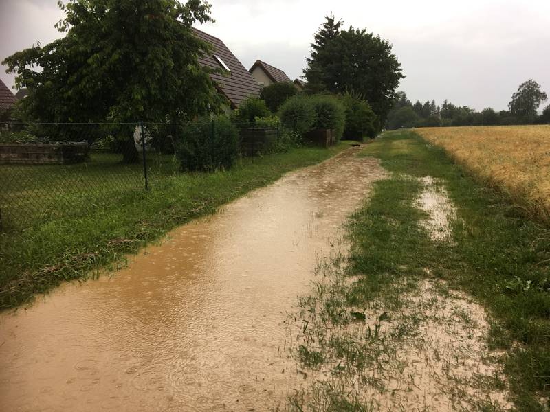 Starkregen / Ehingen