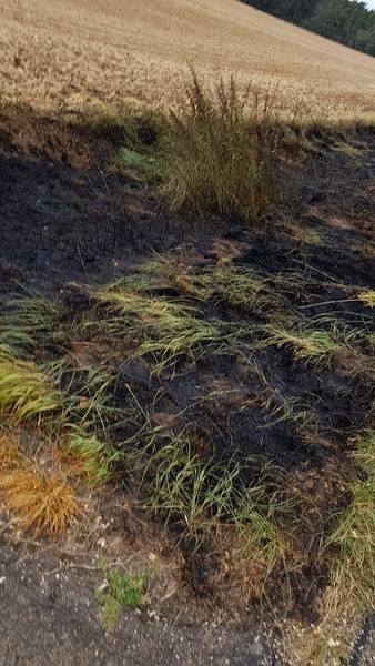 Grabenbrand / Ehingen