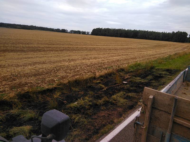 Grabenbrand / Ehingen