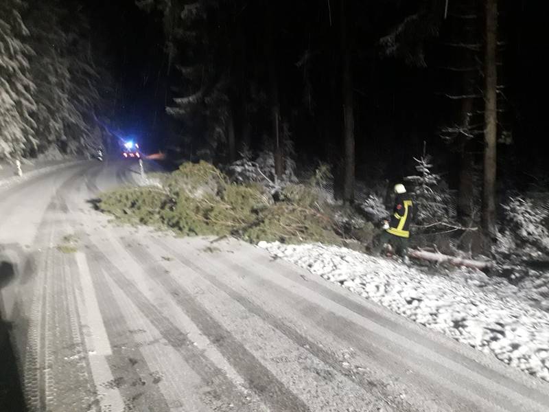 Baum auf Straße / Kreisstraße AN 49
