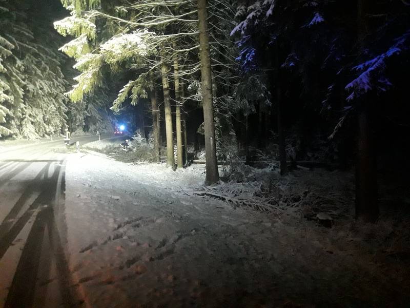 Baum auf Straße / Kreisstraße AN 49