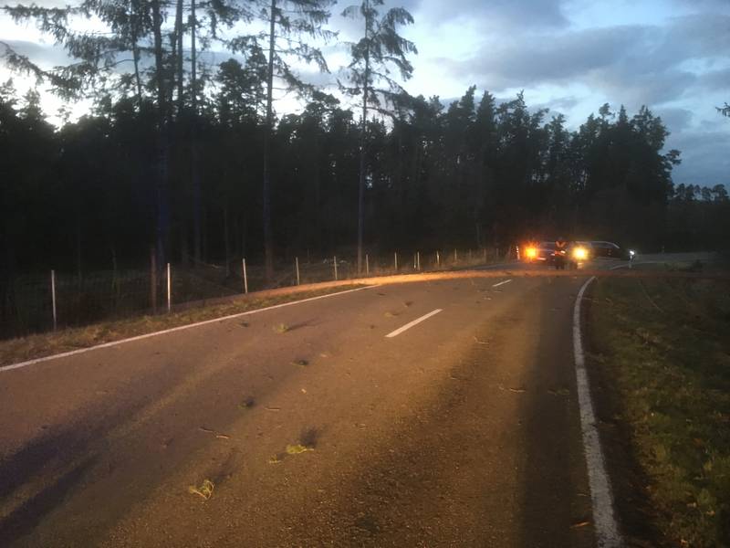 Baum auf Fahrbahn / Kreisstraße AN 49