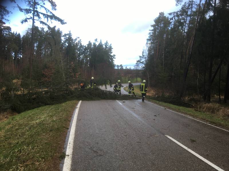Baum auf Straße / gesamtes Gemeindegebiet