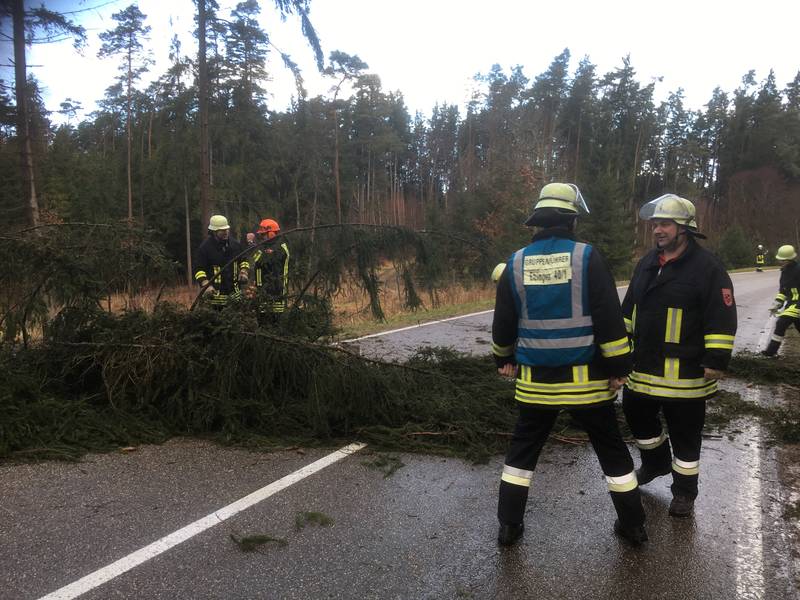 Baum auf Straße / gesamtes Gemeindegebiet