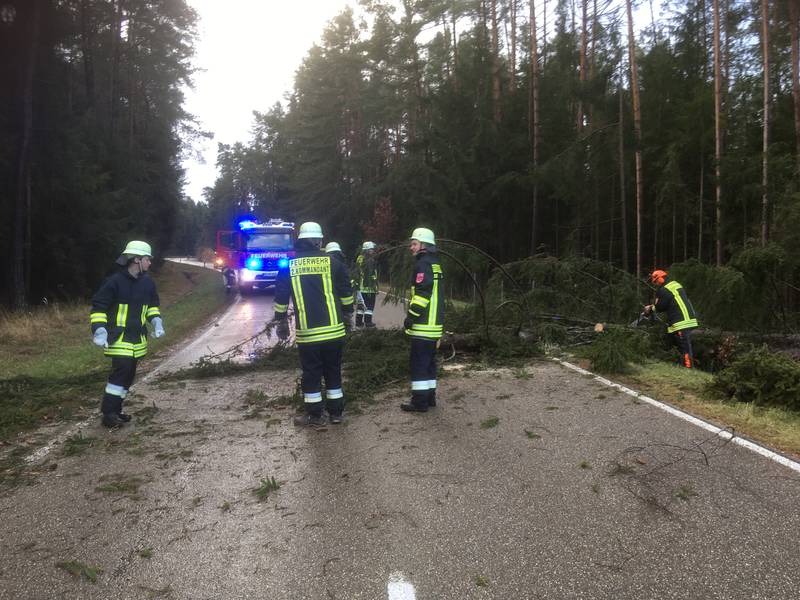 Baum auf Straße / gesamtes Gemeindegebiet