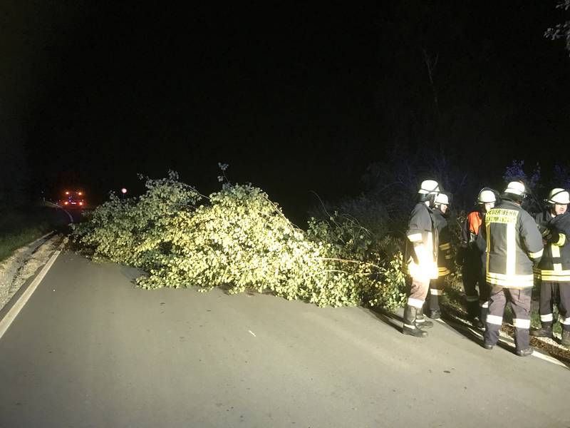 Baum auf Fahrbahn / Kreisstraße AN 49