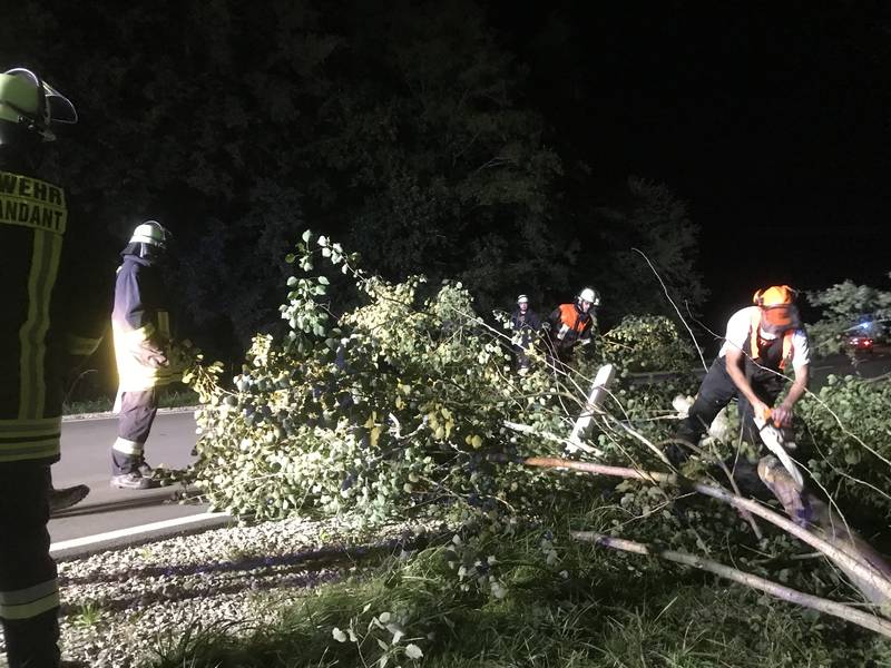 Baum auf Fahrbahn / Kreisstraße AN 49