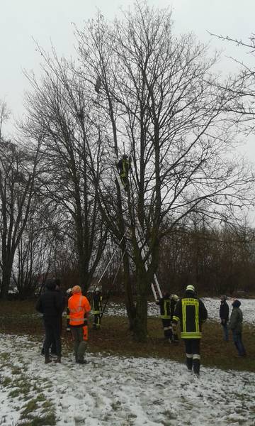 Tierrettung / Ehingen