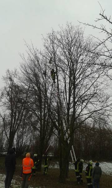 Tierrettung / Ehingen