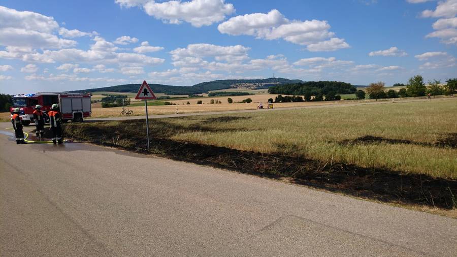 Böschungsbrand / Dambach