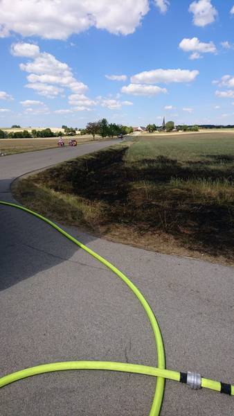 Böschungsbrand / Dambach