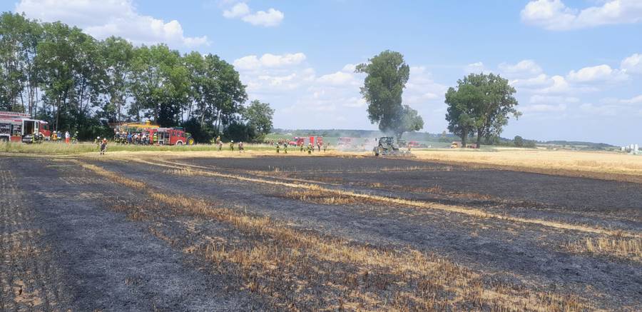 Feldbrand / Ehingen