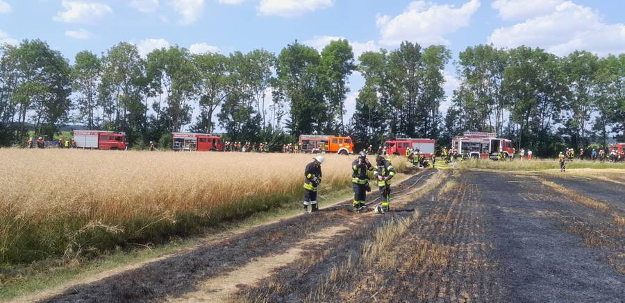 Feldbrand / Ehingen