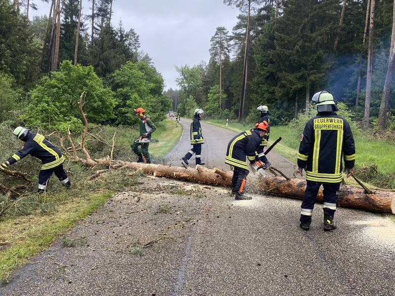 Baum auf Fahrbahn / Hammerschmiede