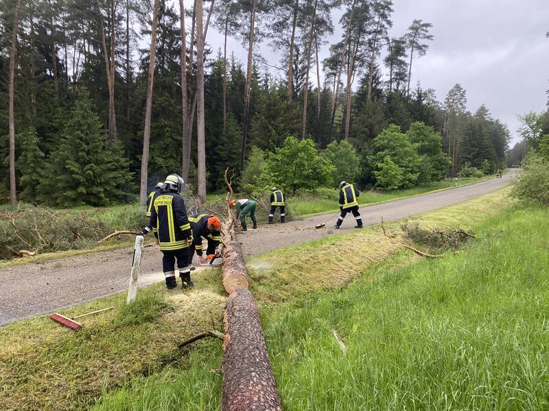 Baum auf Fahrbahn / Hammerschmiede