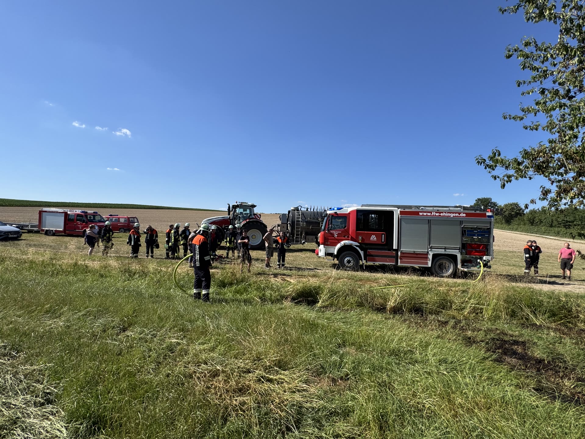 Heckenbrand / Ehingen